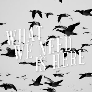 WildGeese
