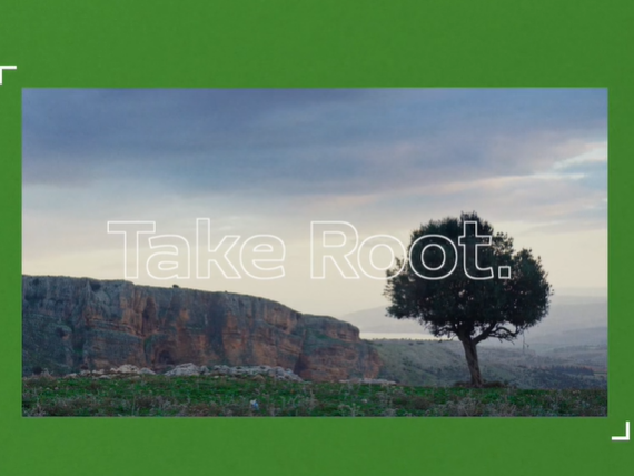 Take Root