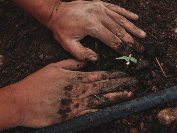 greenforce-staffing-bYZn_C-RswQ-unsplash