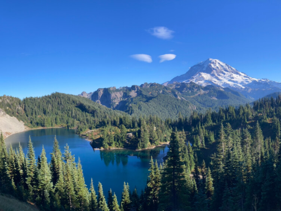 Rainier_Compressed