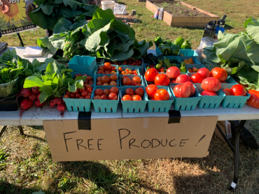 Produce_C
