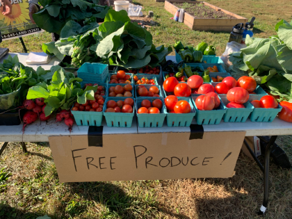 Produce_C