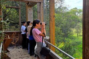 Picnics_Binoculars (1)_Edit II