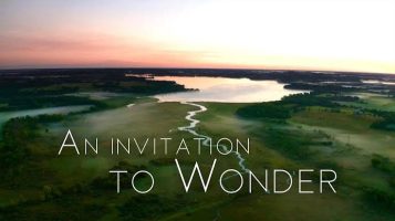 invitation to wonder